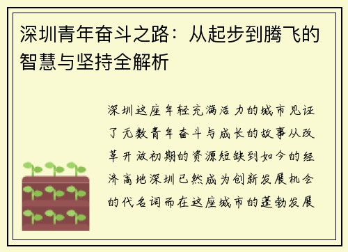 深圳青年奋斗之路：从起步到腾飞的智慧与坚持全解析