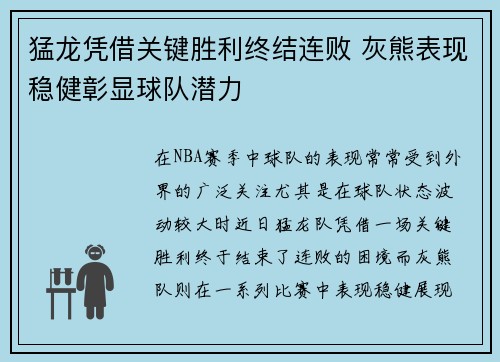 猛龙凭借关键胜利终结连败 灰熊表现稳健彰显球队潜力