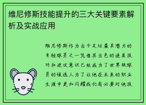 维尼修斯技能提升的三大关键要素解析及实战应用