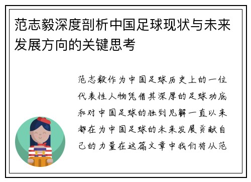 范志毅深度剖析中国足球现状与未来发展方向的关键思考