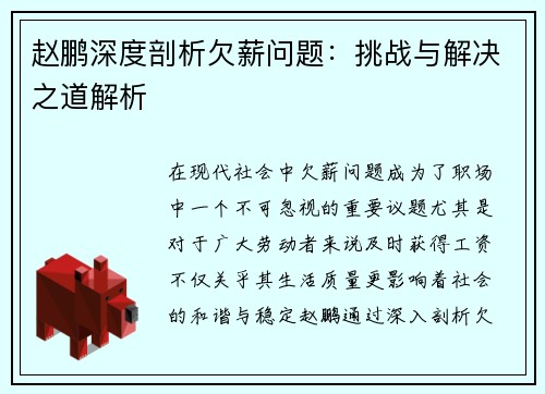 赵鹏深度剖析欠薪问题：挑战与解决之道解析